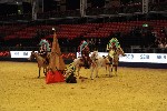 Quadrille - 00385